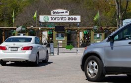 Toronto Zoo will need proof of COVID-19 vaccination for all visitors from Oct. 25