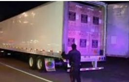 Truck trailer and load theft gang busted in Southern Ontario