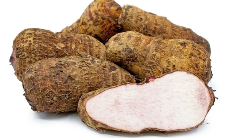 Know: The tremendous health benefits of eating arbi in winter