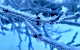 As Western Canada grapples with extreme cold, ski hills have closed and warming shelters have opened