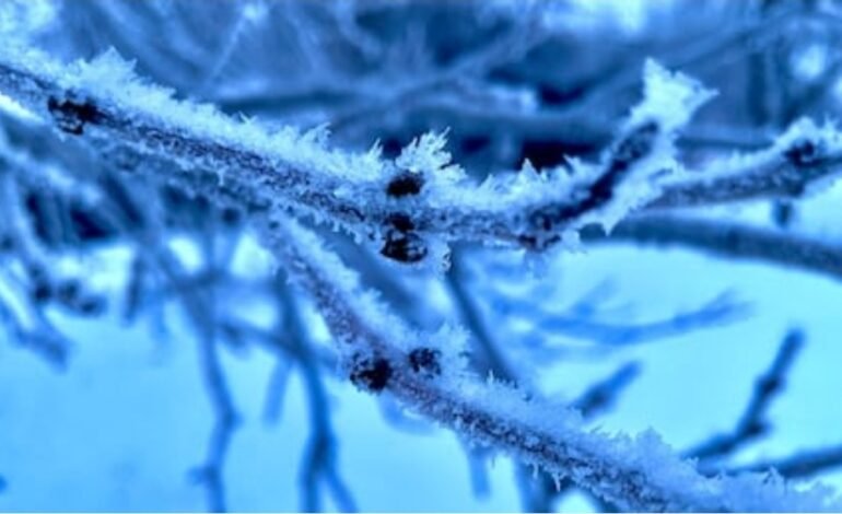 As Western Canada grapples with extreme cold, ski hills have closed and warming shelters have opened