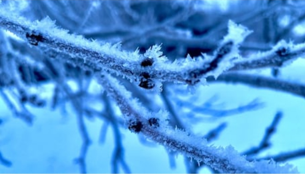 As Western Canada grapples with extreme cold, ski hills have closed and warming shelters have opened