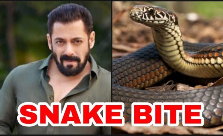 ਸ਼ਲਮਾਨ ਖਾਨ ਦੇ ਪ੍ਰਸੰਸਕਾ ਲਈ ਬੁਰੀ ਖਬਰ : ਸਲਮਾਨ ਖਾਨ ਨੂੰ ਸੱਪ ਨੇ ਡੱਸਿਆ