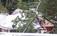 A big tree fell on a house in West Vancouver, killing two people