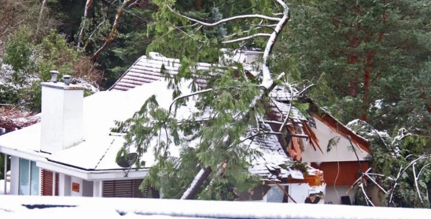 A big tree fell on a house in West Vancouver, killing two people