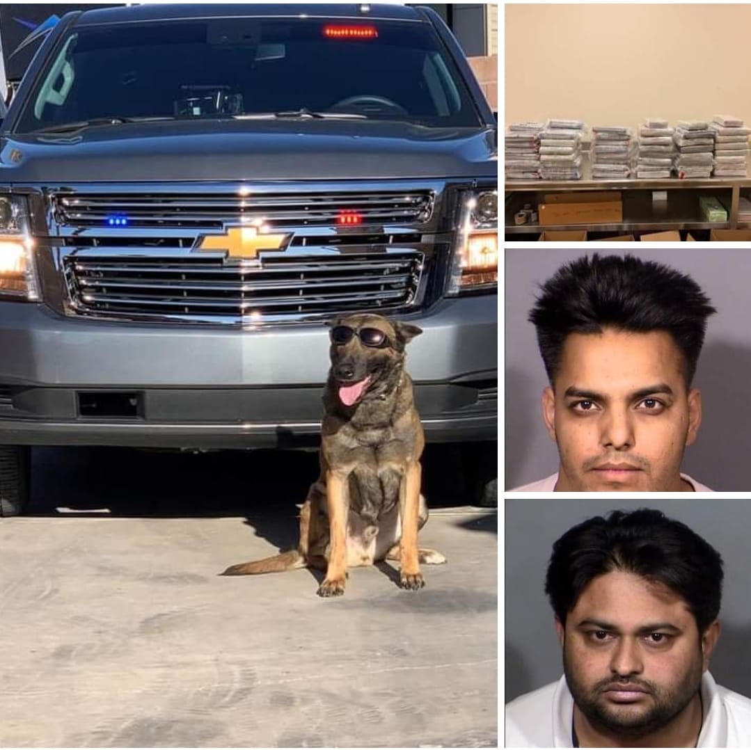 Two Indian-origin truck drivers arrested in US with 230 pounds of cocaine