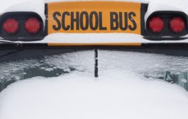 All YRDSB schools closed today due to freezing rain