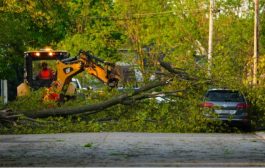 At least nine people dead in storm, many powerless