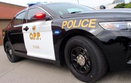 Starting next week, OPP will be conducting online record checks