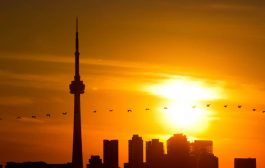 Heat warning for Toronto, parts of Ontario