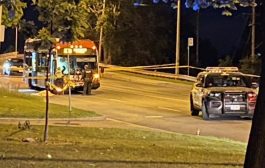 32 year old man died in Scarborough after being struck by a TTC bus