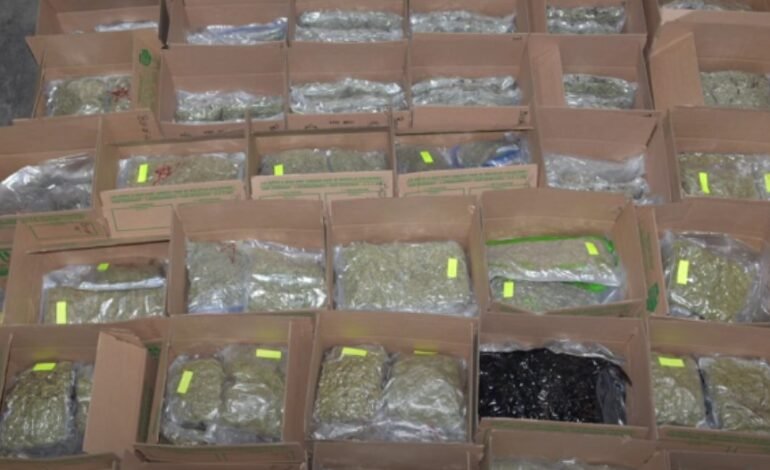 ਪੁਲਿਸ ਨੇ 65 ਮਿਲੀਅਨ ਡਾਲਰ ਤੋਂ ਵੱਧ ਦੇ ਨਸ਼ੀਲੇ ਪਦਾਰਥ ਕੀਤੇ ਜ਼ਬਤ, 20 ਲੋਕਾਂ ਨੂੰ ਕੀਤਾ ਗ੍ਰਿਫਤਾਰ