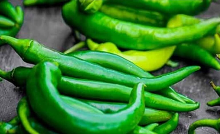 ਹਰੀ ਮਿਰਚ ਦੇ ਸਿਹਤ ਲਈ ਫਾਇਦੇ