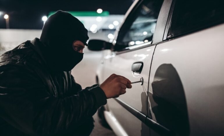 ਸਾਲ 2022 ਦੌਰਾਨ ਪੀਲ ਖੇਤਰ ‘ਚ ਹਰ ਮਹੀਨੇ ਚੋਰੀ ਹੋਈਆਂ 450 ਤੋਂ ਵਧੇਰੇ ਕਾਰਾਂ