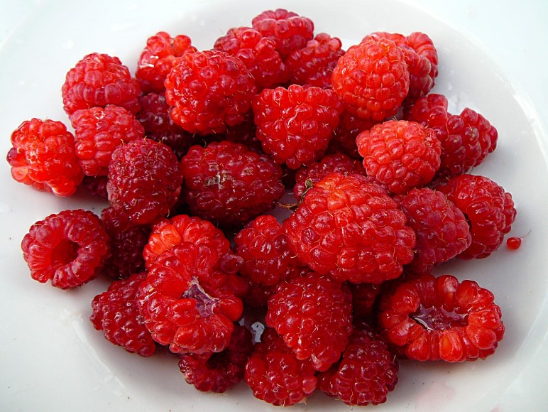 ਸਿਹਤ ਲਈ ਬੇਹੱਦ ਫਾਇਦੇਮੰਦ ਹੈ Raspberry, ਜਾਣੋ ਇਸਦੇ ਫਾਇਦੇ