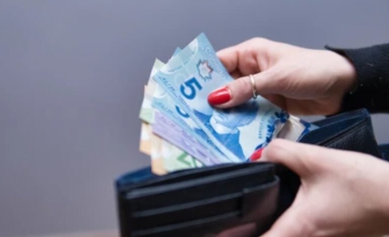 ਮਈ ਮਹੀਨੇ ਦੌਰਾਨ ਕੈਨੇਡੀਅਨਜ਼ ਨੂੰ ਮਹਿੰਗਾਈ ਤੋਂ ਮਿਲੀ ਕੁੱਝ ਰਾਹਤ