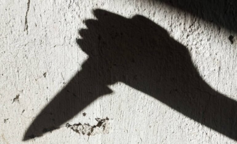 ਵਿਦਿਆਰਥੀ ਨੇ ਸਕੂਲ ‘ਚ ਅੱਠ ਸਾਲ ਦੀ ਬੱਚੀ ਨੂੰ ਮਾਰਿਆ ਚਾਕੂ