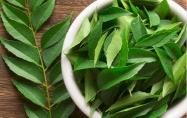 Curry Leaves ਦੇ ਕੁਝ ਖਾਸ ਫਾਇਦੇ