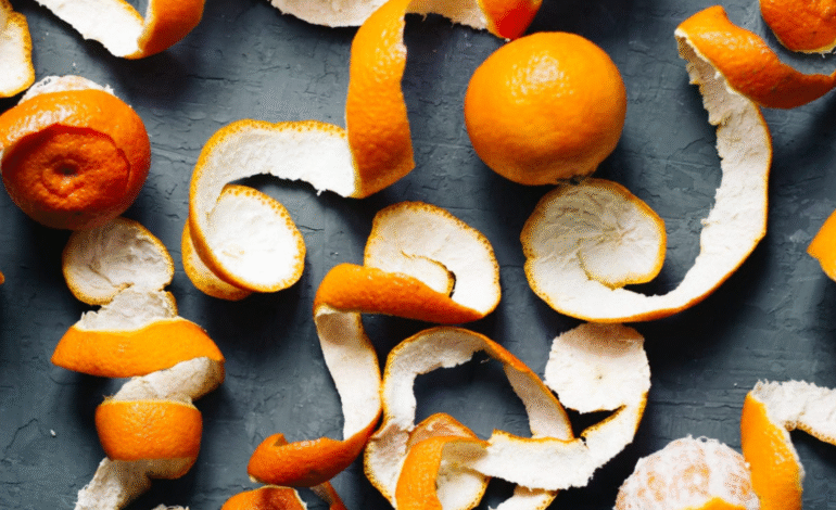 ਸੰਤਰੇ ਦੇ ਛਿਲਕੇ ਤੋਂ ਬਣਾਏ ਜਾ ਸਕਦੇ ਹਨ ਸਵਾਦਿਸ਼ਟ ਪਕਵਾਨ