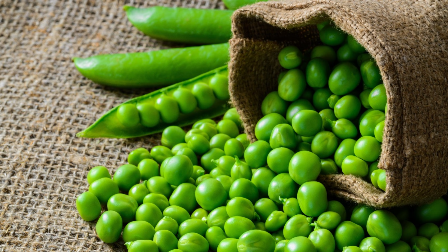 ਹਰੇ ਮਟਰ ਕੁਝ ਲੋਕਾਂ ਲਈ ਜ਼ਹਿਰ ਦੇ ਸਮਾਨ