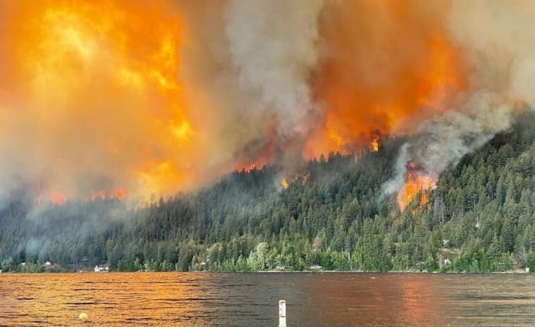 ਬ੍ਰਿਟਿਸ਼ ਕੋਲੰਬੀਆ ਦੇ 87 ਸਥਾਨਾਂ ‘ਤੇ ਭਿਆਨਕ ਜੰਗਲਾਂ ਨੂੰ ਅੱਗ