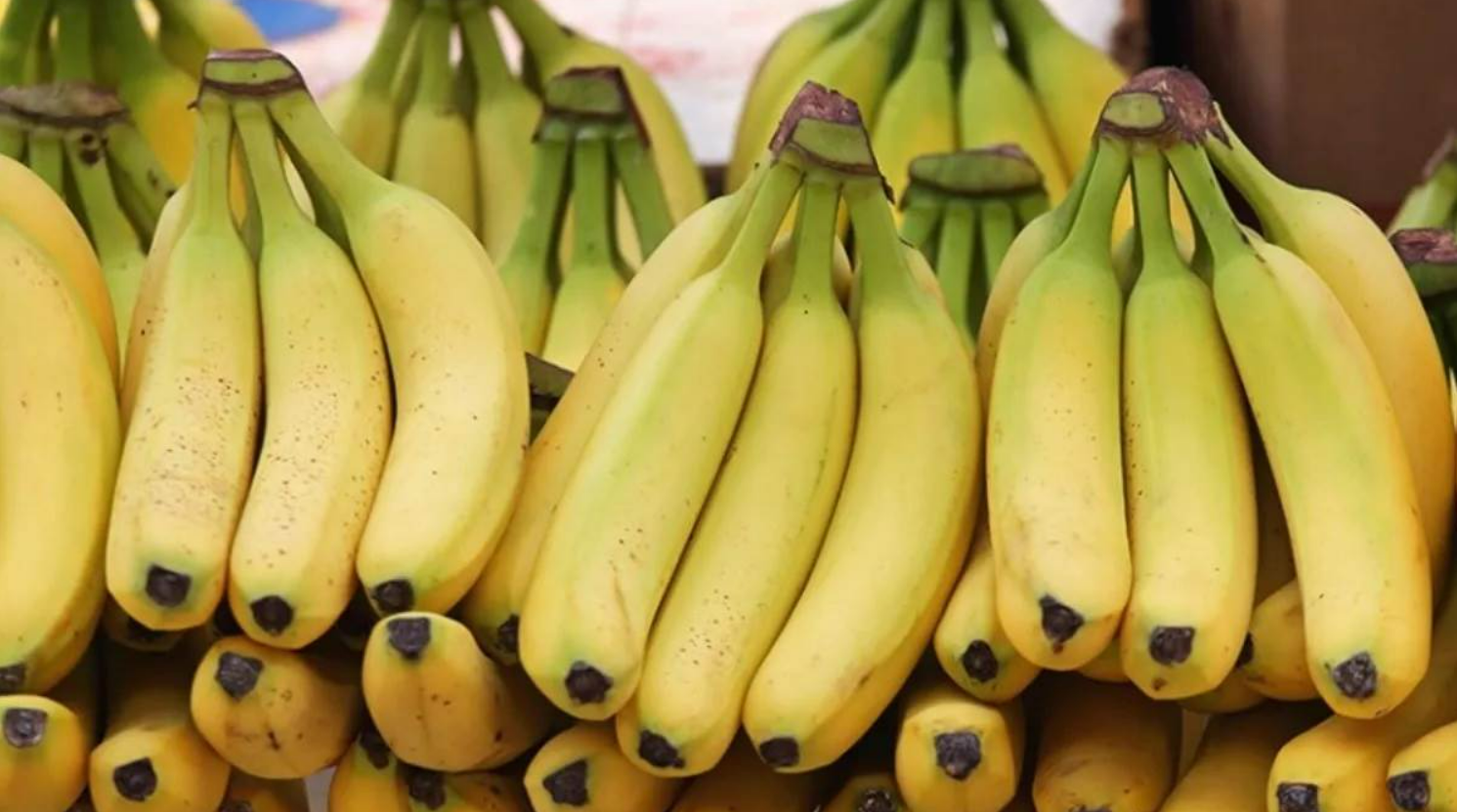 US ਟੈਰਿਫ ਦੇ ਬਾਵਜੂਦ ਰੂਸ-ਭਾਰਤ ਵਪਾਰ: ਸਾਲਾਨਾ 3-5 ਲੱਖ ਮੀਟ੍ਰਿਕ ਟਨ ਕੇਲੇ ਦੀ ਖਰੀਦ