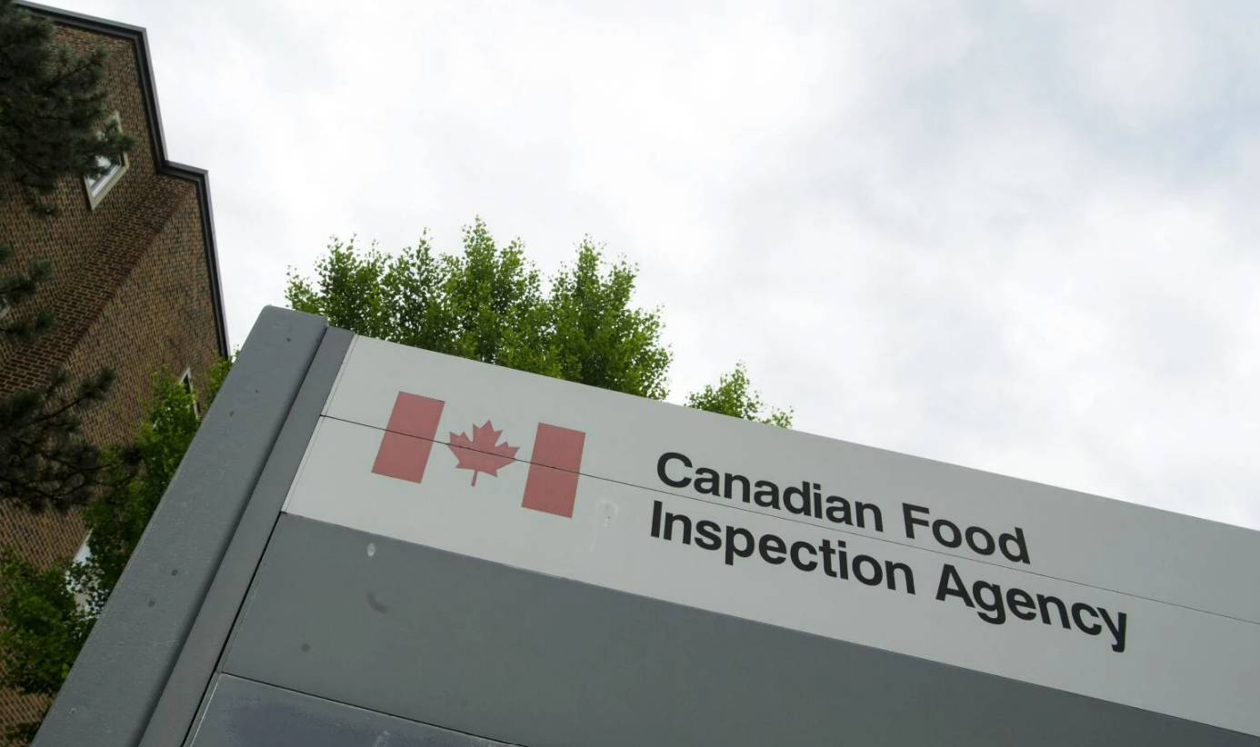 Aoun Brand Tahineh Recall: ਓਨਟਾਰੀਓ ‘ਚ ਸੈਲਮੋਨੇਲਾ ਖਤਰੇ ਕਾਰਨ ਤਾਹਿਨਾ ਵਾਪਸ ਮੰਗਾਇਆ |