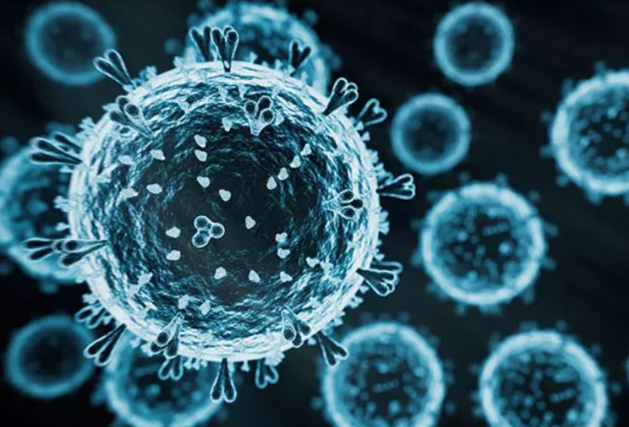 Alberta ਵਿੱਚ Avian Flu ਨਾਲ ਸੰਕ੍ਰਮਿਤ ਕੁੱਤੇ ਦੀ ਮੌਤ !