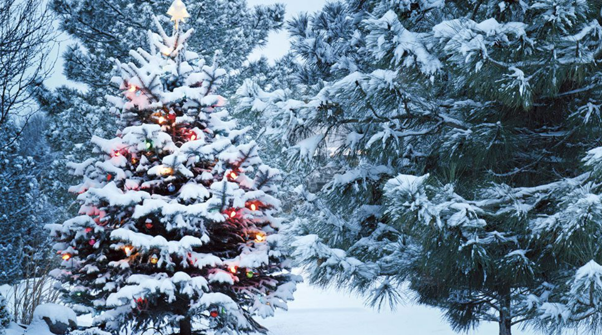 Western ਤੇ Northern Canada ਵਿੱਚ ਬਰਫੀਲੀ Christmas ਦੀ ਚੇਤਾਵਨੀ !