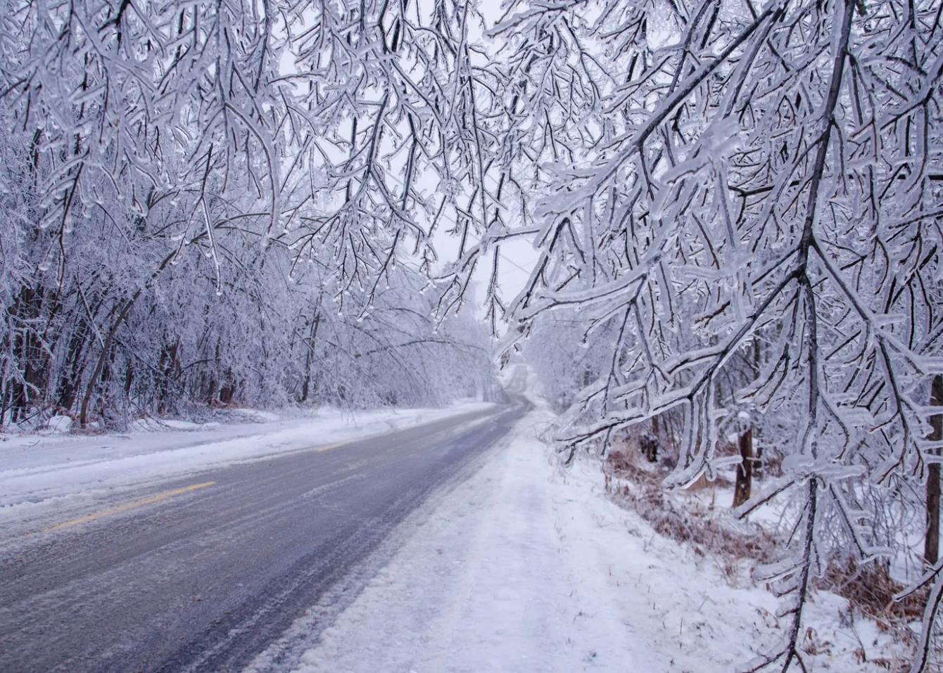 ਓਂਟਾਰੀਓ ਵਿੱਚ Freezing Rain, ਨਿਊਫਾਊਂਡਲੈਂਡ ਵਿੱਚ ਬਲਿਜ਼ਰਡ ਦੀ ਚੇਤਾਵਨੀ !