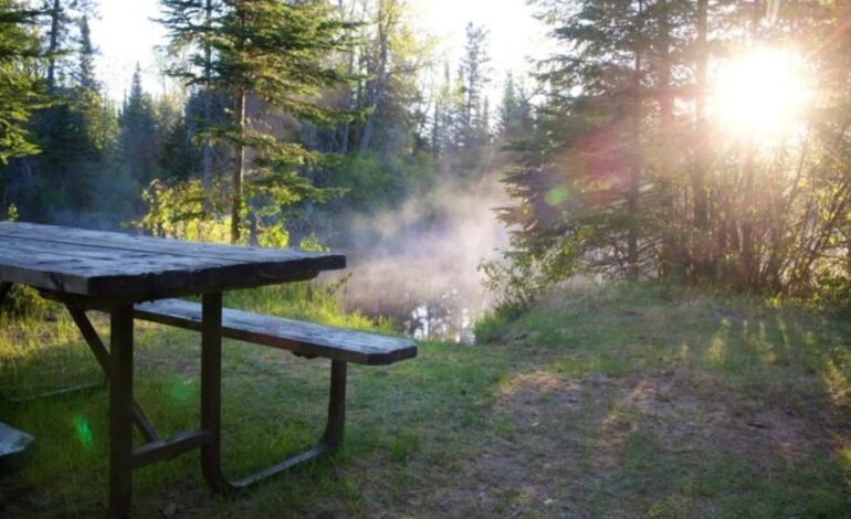 Ontario Parks ਵਿੱਚ Camping Booking ਬਣੀ ਮੁਸ਼ਕਲ, ਕੈਂਪਰ ਹੋ ਰਹੇ ਪਰੇਸ਼ਾਨ |