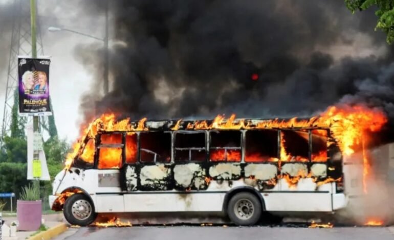 Puerto Vallarta violence