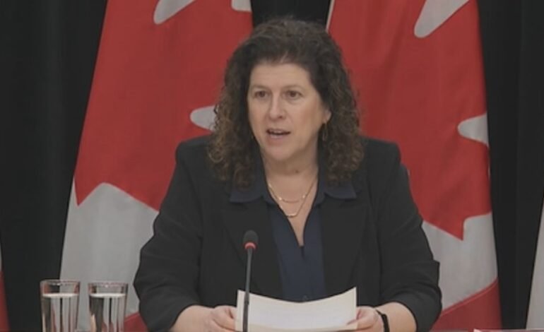 IRCC Student Fraud Cases